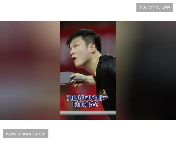 樊振东回归国乒直通团体世乒赛